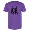 Unisex Softstyle® CVC T-Shirt Thumbnail